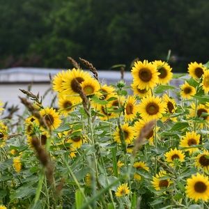 Meet your Posher, Moriah